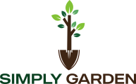PNG_Logo transparent file